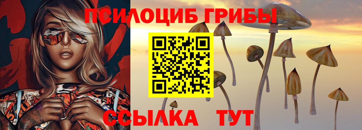 Псилоцибиновые грибы GOLDEN TEACHER  Вход с VPN  Кашира 